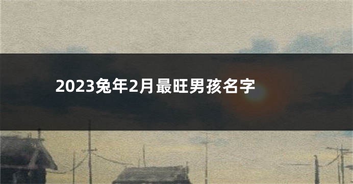 2023兔年2月最旺男孩名字