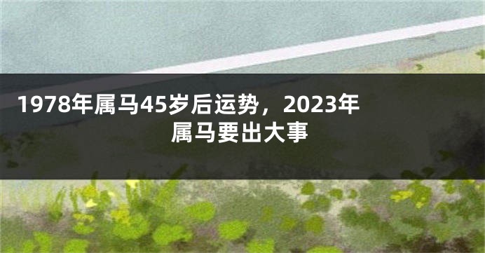 1978年属马45岁后运势,2023年属马要出大事