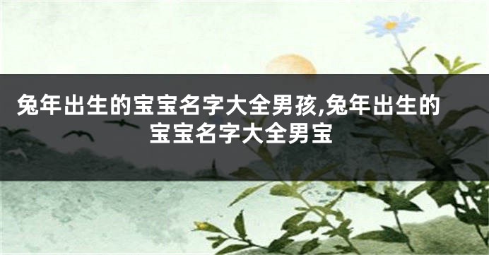 兔年出生的宝宝名字大全男孩,兔年出生的宝宝名字大全男宝