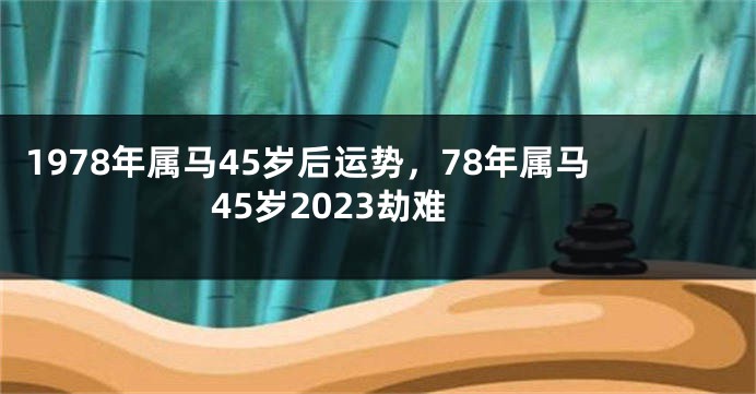 1978年属马45岁后运势,78年属马45岁2023劫难