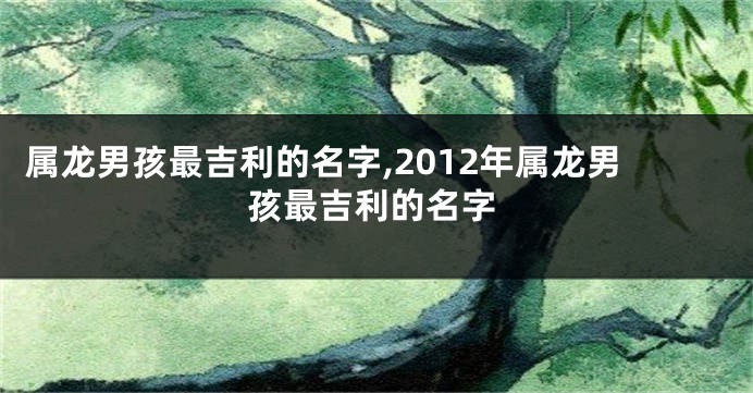 属龙男孩最吉利的名字,2012年属龙男孩最吉利的名字