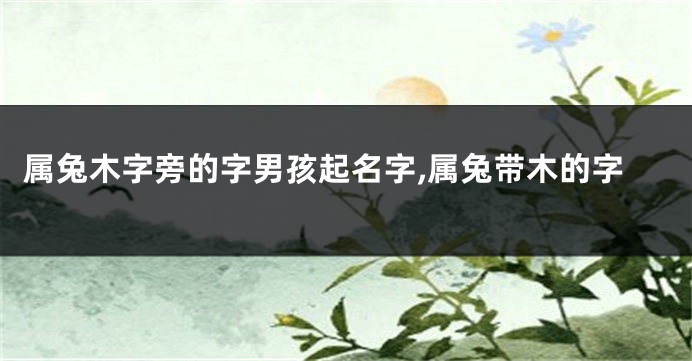 属兔木字旁的字男孩起名字,属兔带木的字