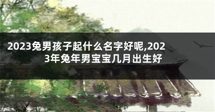 2023兔男孩子起什么名字好呢,2023年兔年男宝宝几月出生好