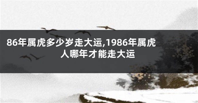 86年属虎多少岁走大运,1986年属虎人哪年才能走大运