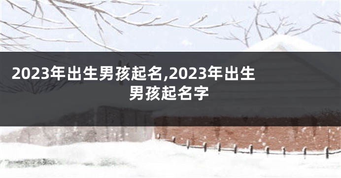 2023年出生男孩起名,2023年出生男孩起名字
