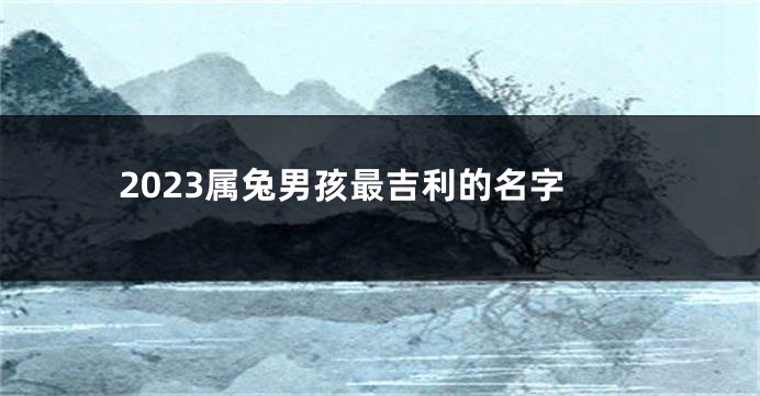 2023属兔男孩最吉利的名字