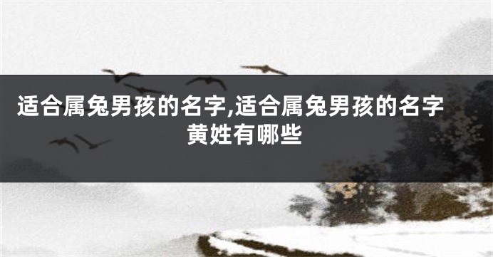 适合属兔男孩的名字,适合属兔男孩的名字黄姓有哪些
