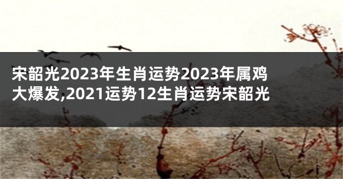 宋韶光2023年生肖运势2023年属鸡大爆发,2021运势12生肖运势宋韶光