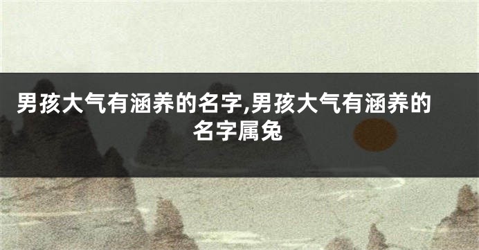 男孩大气有涵养的名字,男孩大气有涵养的名字属兔