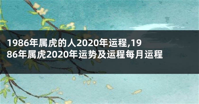 1986年属虎的人2020年运程,1986年属虎2020年运势及运程每月运程