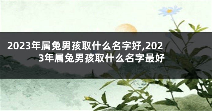 2023年属兔男孩取什么名字好,2023年属兔男孩取什么名字最好