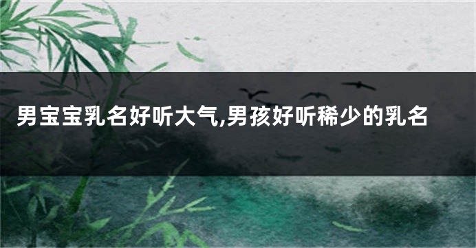 男宝宝乳名好听大气,男孩好听稀少的乳名