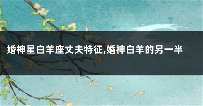 婚神星白羊座丈夫特征,婚神白羊的另一半