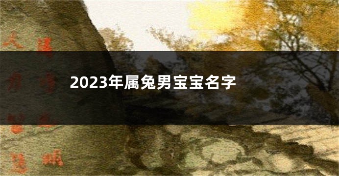 2023年属兔男宝宝名字