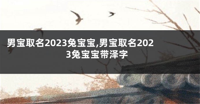 男宝取名2023兔宝宝,男宝取名2023兔宝宝带泽字