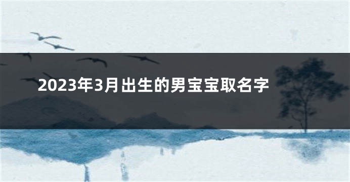 2023年3月出生的男宝宝取名字
