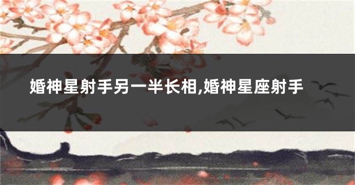 婚神星射手另一半长相,婚神星座射手