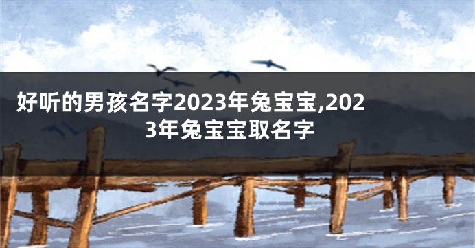 好听的男孩名字2023年兔宝宝,2023年兔宝宝取名字