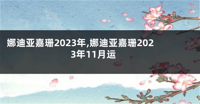 娜迪亚嘉珊2023年,娜迪亚嘉珊2023年11月运