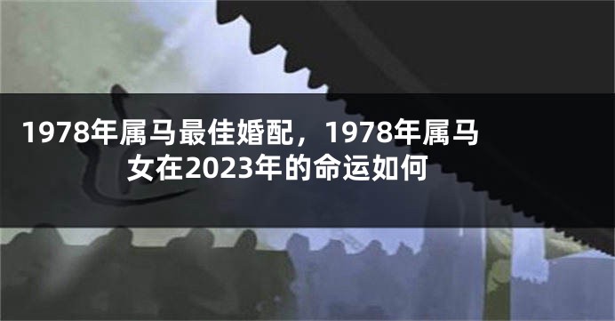 1978年属马最佳婚配,1978年属马女在2023年的命运如何