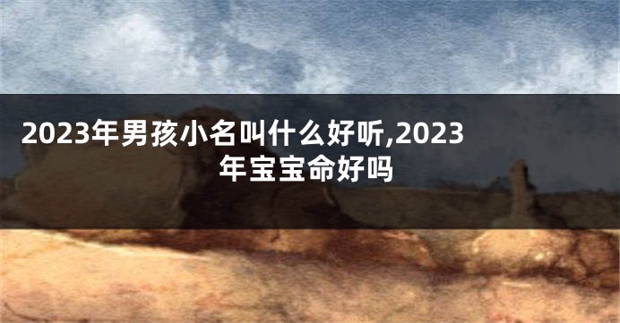 2023年男孩小名叫什么好听,2023年宝宝命好吗