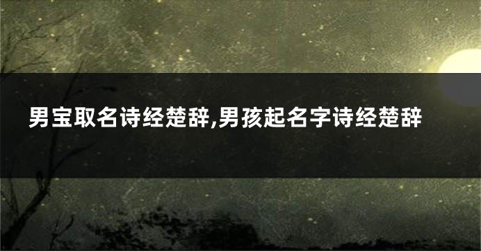 男宝取名诗经楚辞,男孩起名字诗经楚辞