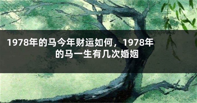 1978年的马今年财运如何,1978年的马一生有几次婚姻