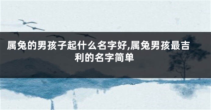 属兔的男孩子起什么名字好,属兔男孩最吉利的名字简单