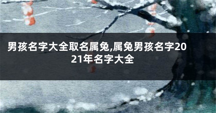 男孩名字大全取名属兔,属兔男孩名字2021年名字大全