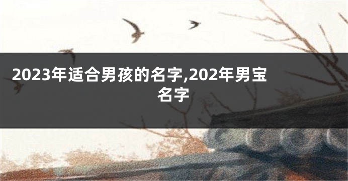 2023年适合男孩的名字,202年男宝名字