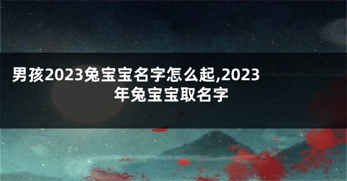 男孩2023兔宝宝名字怎么起,2023年兔宝宝取名字