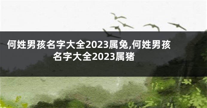 何姓男孩名字大全2023属兔,何姓男孩名字大全2023属猪