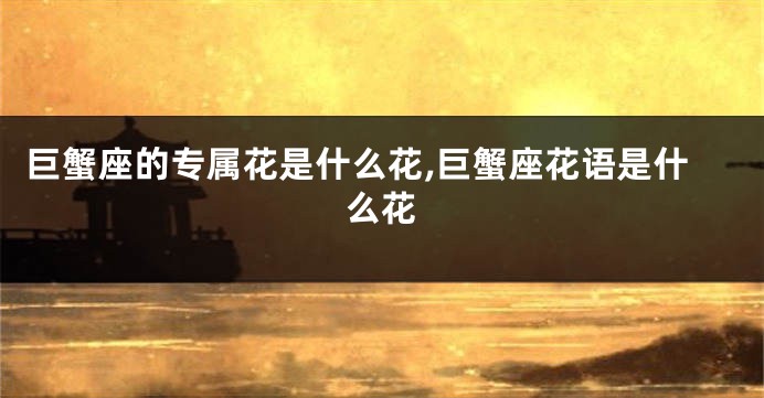 巨蟹座的专属花是什么花,巨蟹座花语是什么花