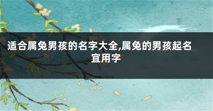 适合属兔男孩的名字大全,属兔的男孩起名宜用字
