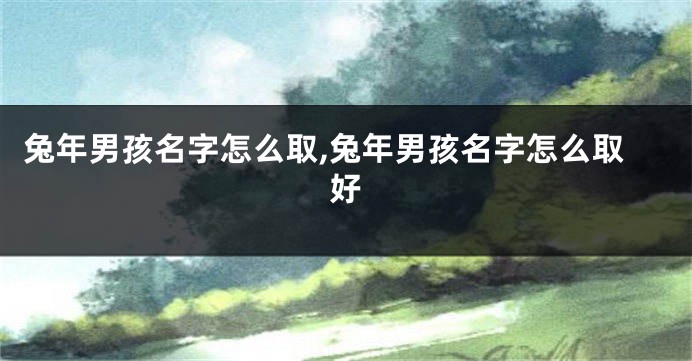 兔年男孩名字怎么取,兔年男孩名字怎么取好