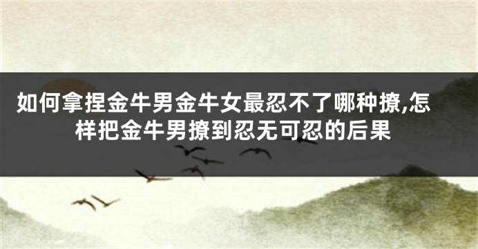 如何拿捏金牛男金牛女最忍不了哪种撩,怎样把金牛男撩到忍无可忍的后果