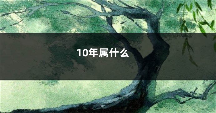 10年属什么