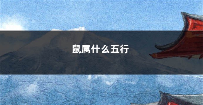 鼠属什么五行