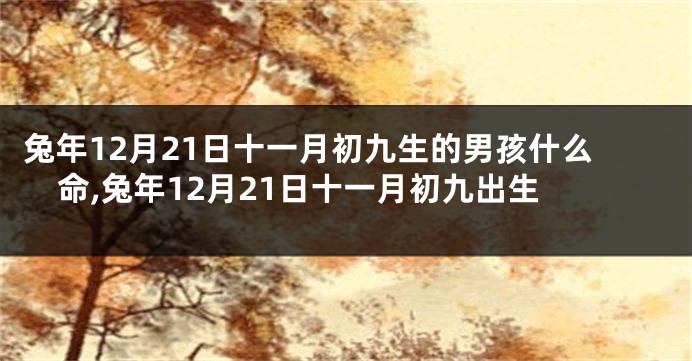 兔年12月21日十一月初九生的男孩什么命,兔年12月21日十一月初九出生