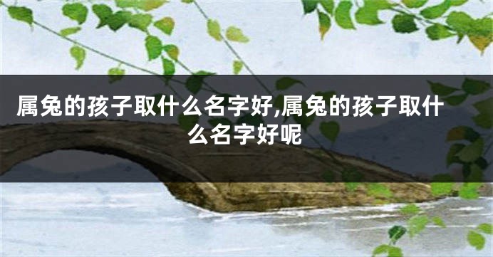 属兔的孩子取什么名字好,属兔的孩子取什么名字好呢