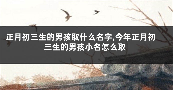 正月初三生的男孩取什么名字,今年正月初三生的男孩小名怎么取