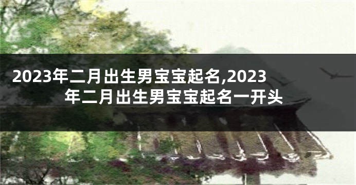 2023年二月出生男宝宝起名,2023年二月出生男宝宝起名一开头