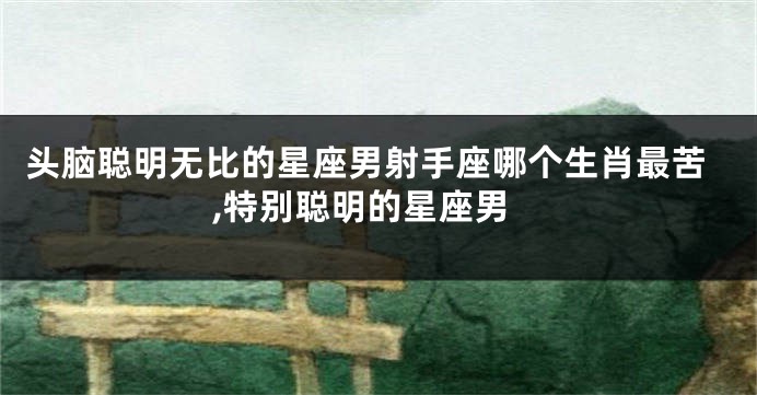 头脑聪明无比的星座男射手座哪个生肖最苦,特别聪明的星座男