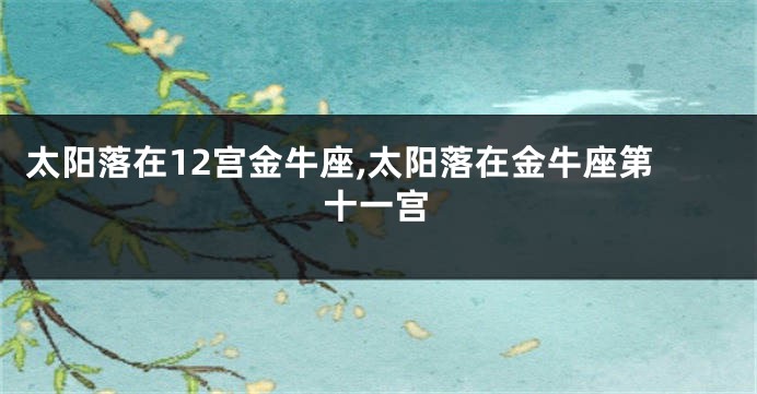 太阳落在12宫金牛座,太阳落在金牛座第十一宫