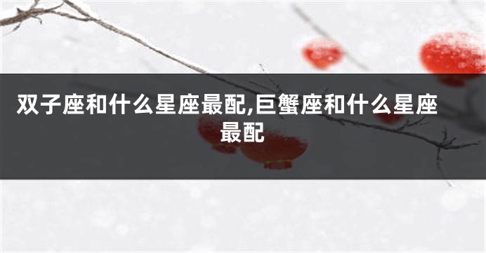双子座和什么星座最配,巨蟹座和什么星座最配