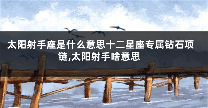太阳射手座是什么意思十二星座专属钻石项链,太阳射手啥意思
