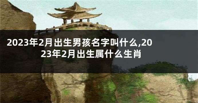 2023年2月出生男孩名字叫什么,2023年2月出生属什么生肖