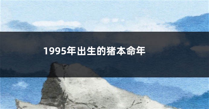 1995年出生的猪本命年