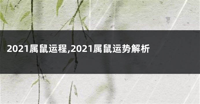 2021属鼠运程,2021属鼠运势解析