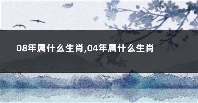 08年属什么生肖,04年属什么生肖